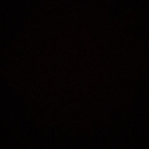 Meet your Posher, Rosie